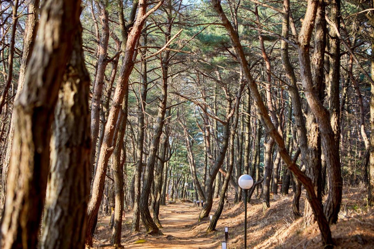 Kolon Hotel Gyeongju Ngoại thất bức ảnh